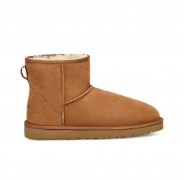 Ugg Men's Classic Mini chestnut