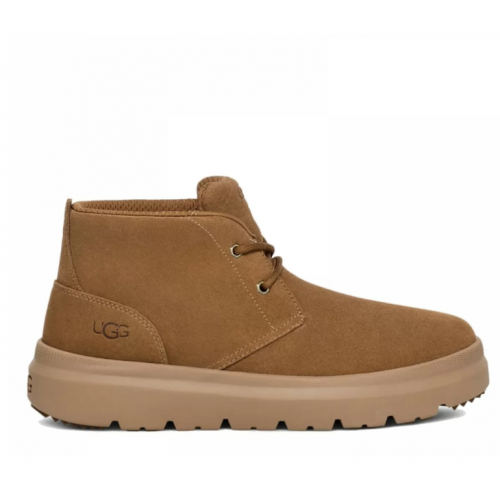 Ugg Mens Burleigh Chukka Chestnut
