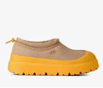 Ugg Tasman Hybrid Mustard Seed / Summer Wheat